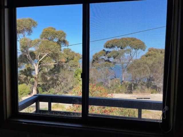 Cooinda Holiday Village Cabins アメリカン・リバー エクステリア 写真